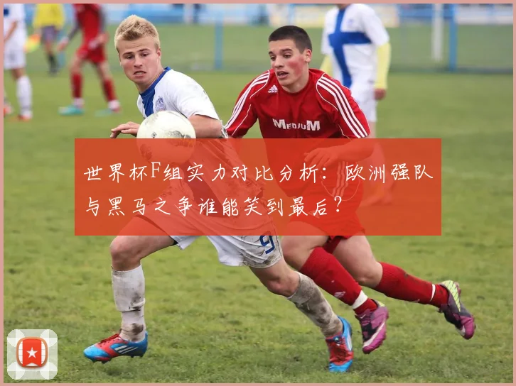 世界杯F组实力对比分析：欧洲强队与黑马之争谁能笑到最后？