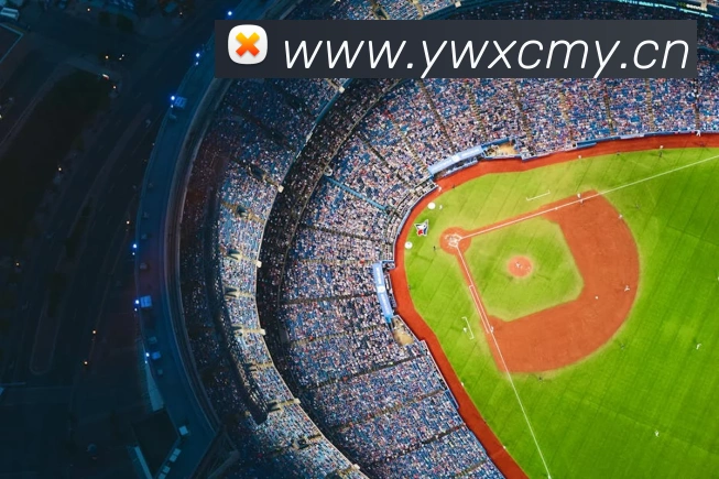 星空官网首页登录平台生态图