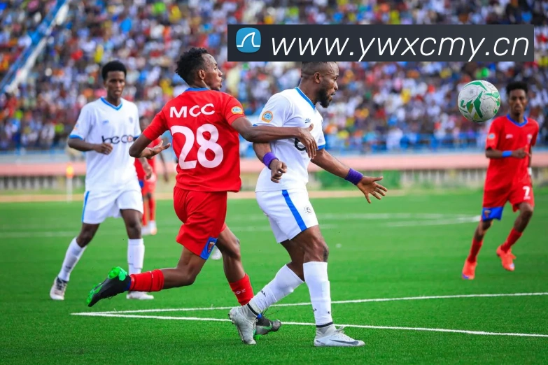 星空官网首页登录APP 封面图